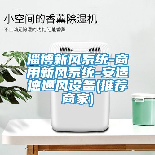 淄博新風(fēng)系統(tǒng)-商用新風(fēng)系統(tǒng)-安適德通風(fēng)設(shè)備(推薦商家)