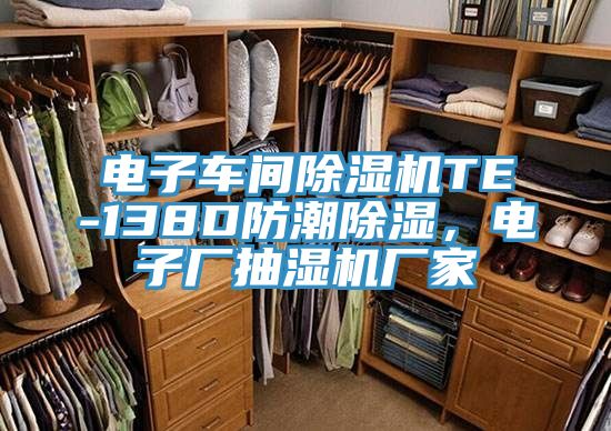 電子車間除濕機TE-138D防潮除濕,電子廠抽濕機廠家