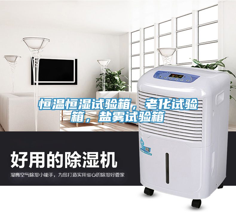 恒溫恒濕試驗箱，老化試驗箱，鹽霧試驗箱