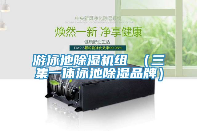 游泳池除濕機組 (三集一體泳池除濕品牌)