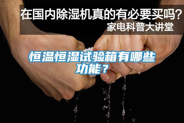恒溫恒濕試驗箱有哪些功能?