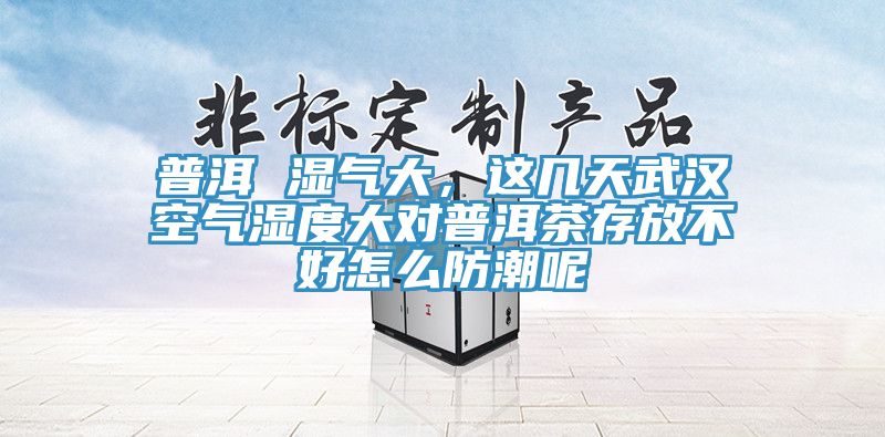 普洱 濕氣大，這幾天武漢空氣濕度大對普洱茶存放不好怎么防潮呢