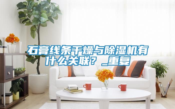 石膏線條干燥與除濕機有什么關聯？_重復