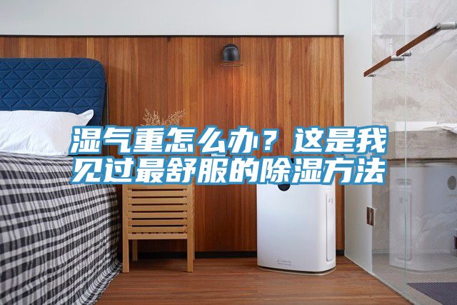 濕氣重怎么辦？這是我見過最舒服的除濕方法