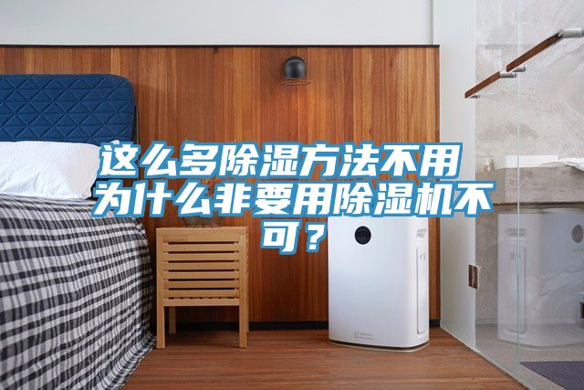 這么多除濕方法不用 為什么非要用除濕機(jī)不可?
