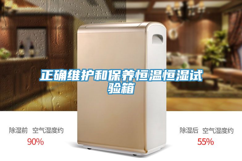 正確維護和保養恒溫恒濕試驗箱