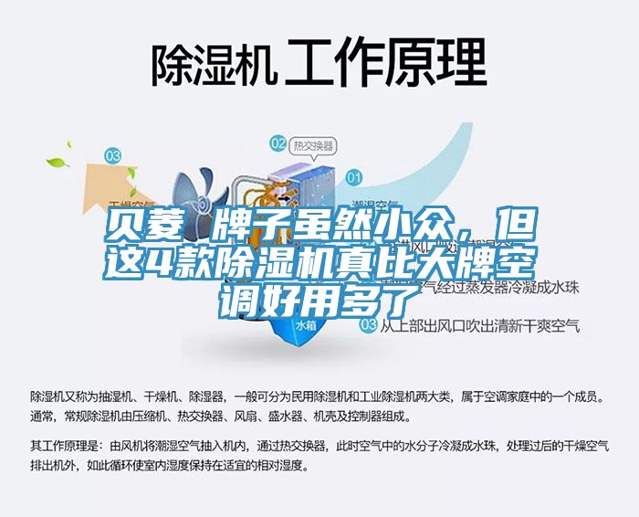 貝菱 牌子雖然小眾，但這4款除濕機真比大牌空調好用多了