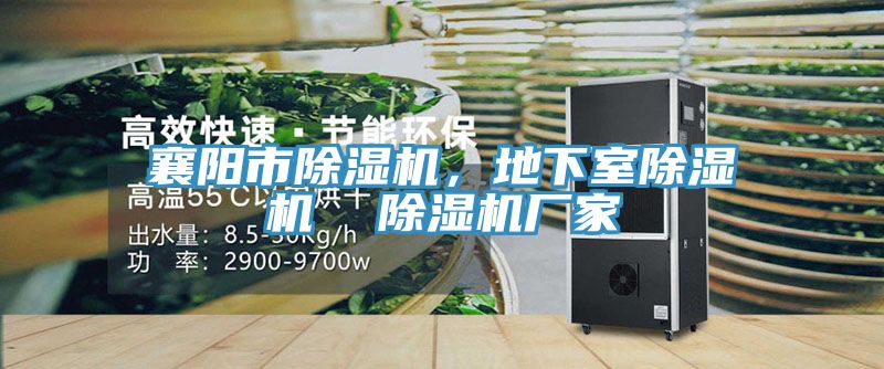 襄陽市除濕機，地下室除濕機  除濕機廠家