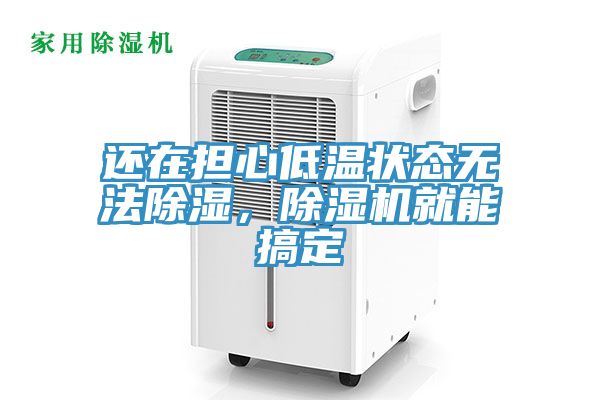 還在擔(dān)心低溫狀態(tài)無(wú)法除濕,除濕機(jī)就能搞定