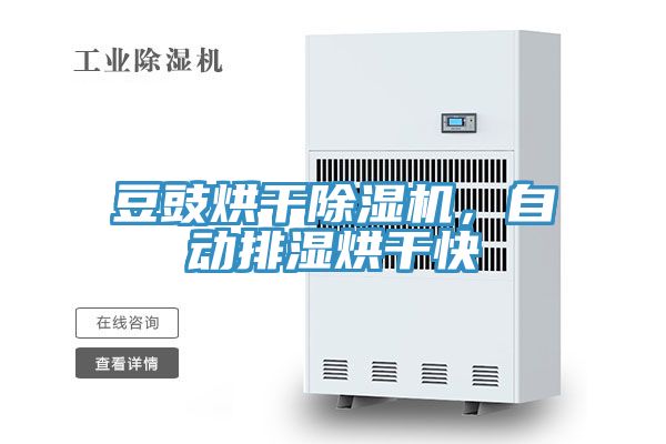 豆豉烘干除濕機，自動排濕烘干快