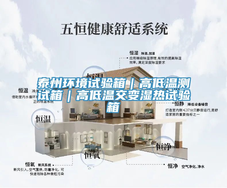 泰州環境試驗箱｜高低溫測試箱｜高低溫交變濕熱試驗箱