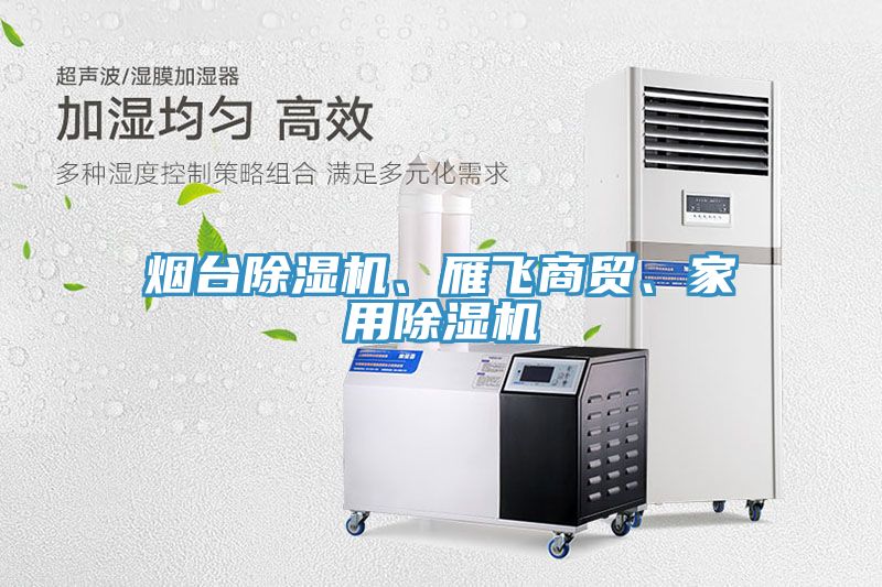 煙臺除濕機、雁飛商貿、家用除濕機