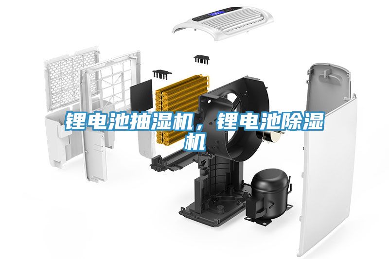 鋰電池抽濕機,鋰電池除濕機
