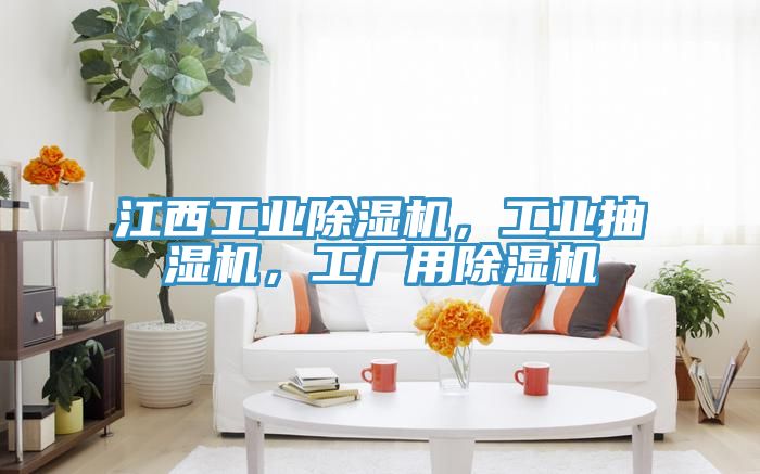 江西工業除濕機，工業抽濕機，工廠用除濕機