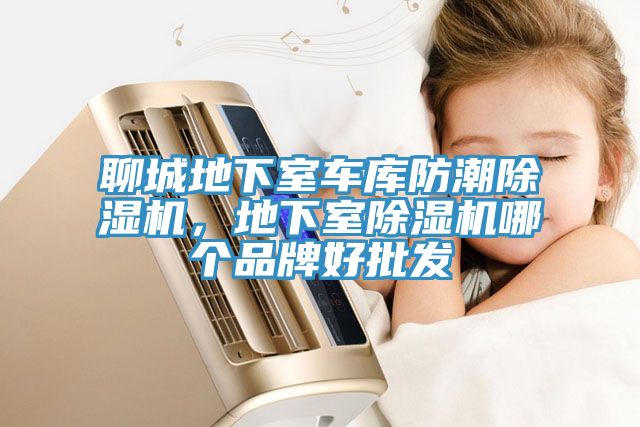 聊城地下室車庫防潮除濕機，地下室除濕機哪個品牌好批發