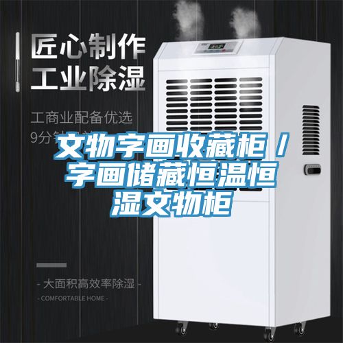 文物字畫收藏柜/字畫儲藏恒溫恒濕文物柜