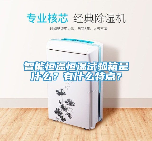 智能恒溫恒濕試驗(yàn)箱是什么？有什么特點(diǎn)？