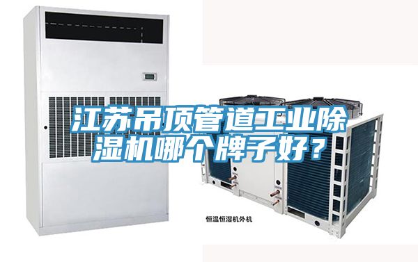 江蘇吊頂管道工業除濕機哪個牌子好？
