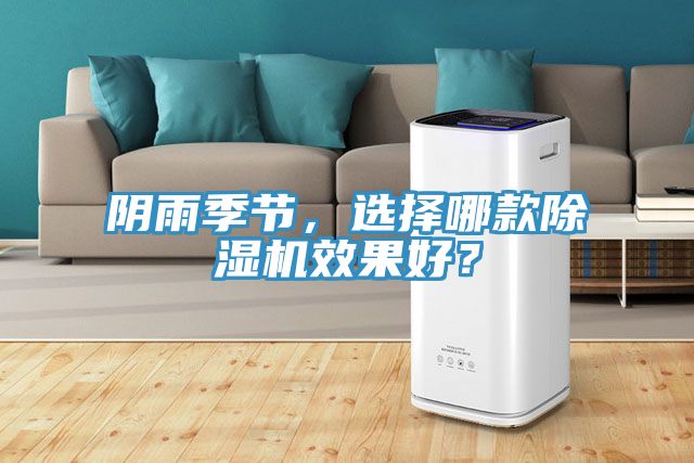 陰雨季節，選擇哪款除濕機效果好？