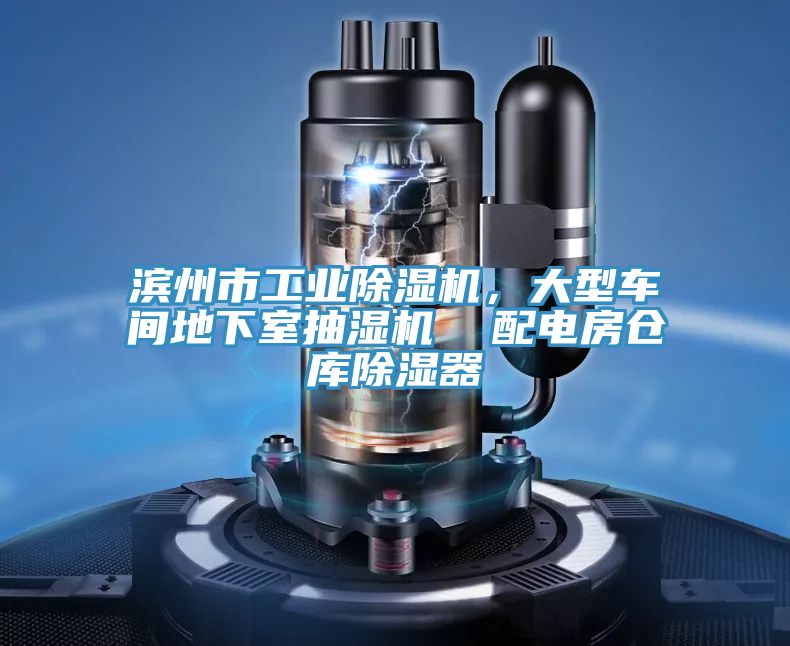 濱州市工業(yè)除濕機(jī)，大型車間地下室抽濕機(jī)  配電房倉庫除濕器