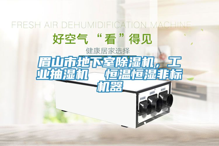 眉山市地下室除濕機,工業抽濕機 恒溫恒濕非標機器