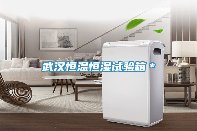 武漢恒溫恒濕試驗箱*