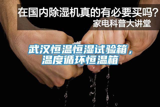 武漢恒溫恒濕試驗箱,溫度循環恒溫箱