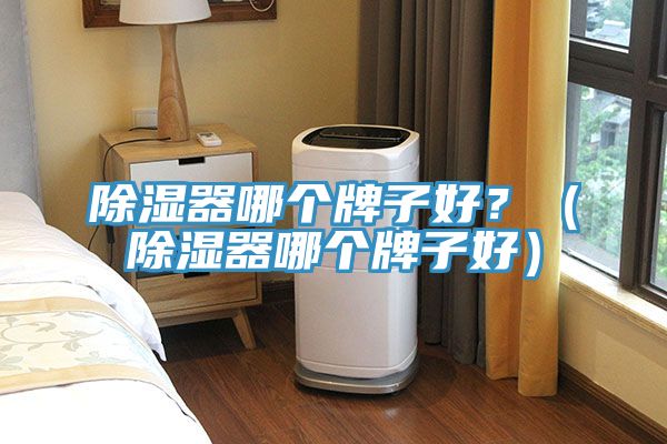 除濕器哪個牌子好？（除濕器哪個牌子好）