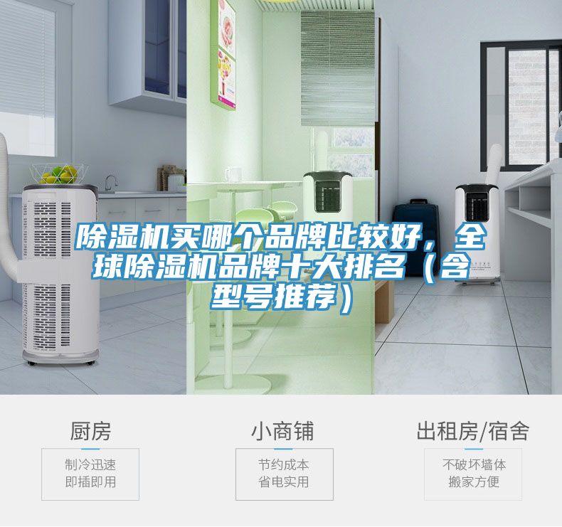 除濕機買哪個品牌比較好，全球除濕機品牌十大排名（含型號推薦）