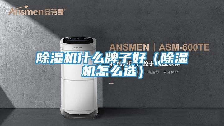 除濕機什么牌子好(除濕機怎么選)