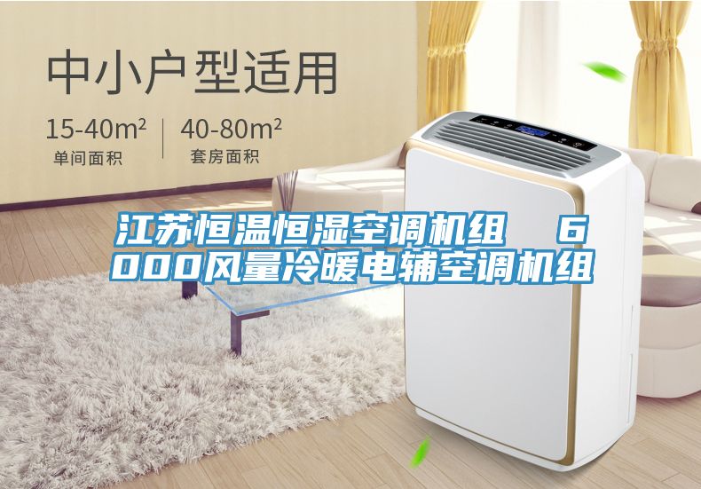 江蘇恒溫恒濕空調(diào)機(jī)組 6000風(fēng)量冷暖電輔空調(diào)機(jī)組