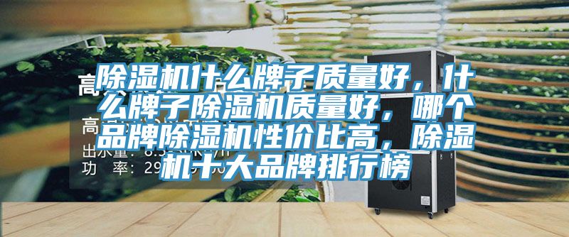 除濕機什么牌子質量好，什么牌子除濕機質量好，哪個品牌除濕機性價比高，除濕機十大品牌排行榜