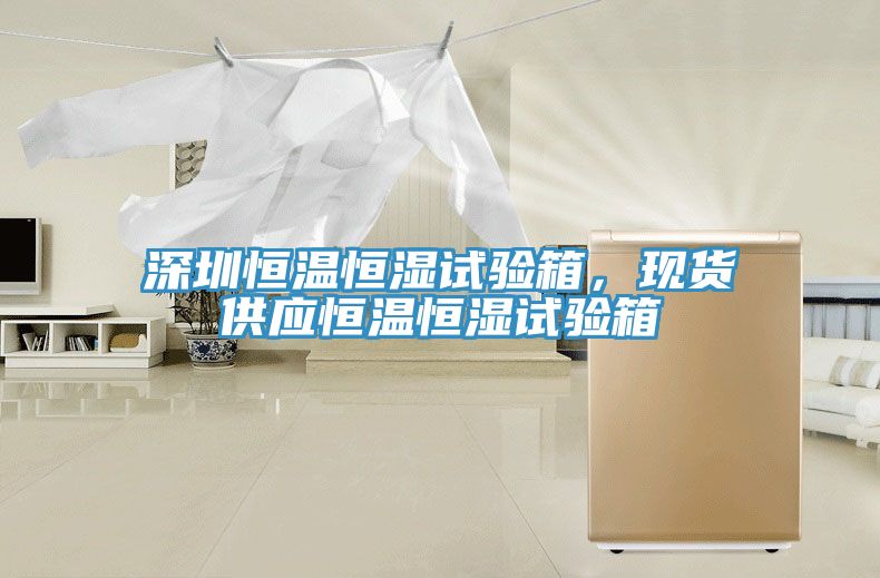 深圳恒溫恒濕試驗箱，現貨供應恒溫恒濕試驗箱