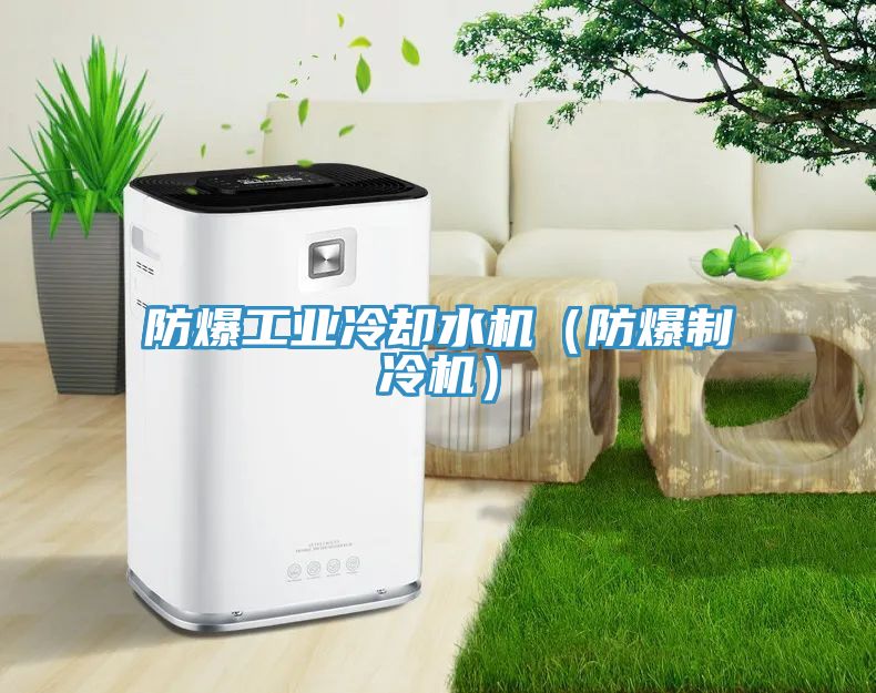 防爆工業冷卻水機(防爆制冷機)