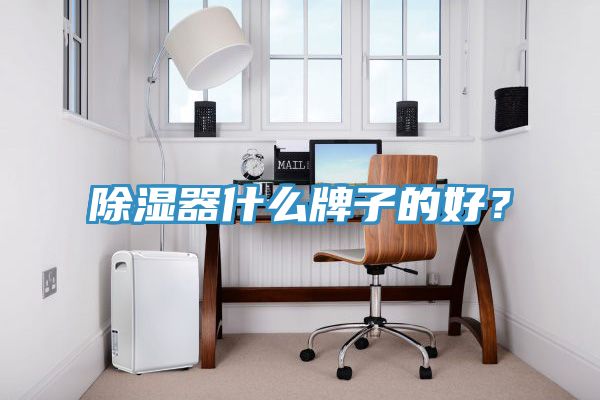 除濕器什么牌子的好?