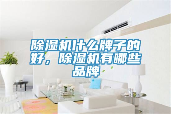 除濕機什么牌子的好，除濕機有哪些品牌