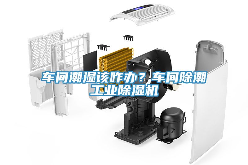 車間潮濕該咋辦?車間除潮工業除濕機