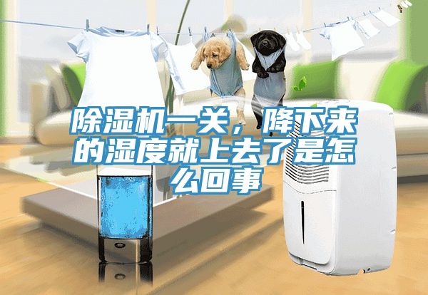 除濕機(jī)一關(guān)，降下來的濕度就上去了是怎么回事