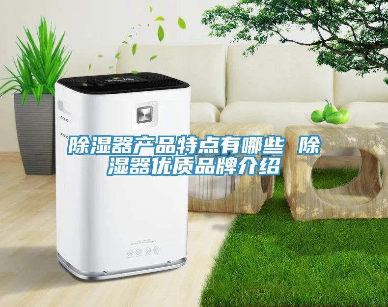 除濕器產品特點有哪些 除濕器優質品牌介紹