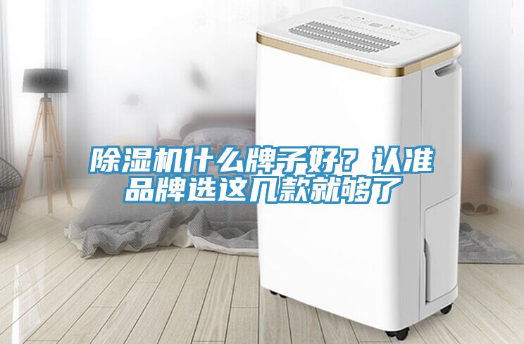 除濕機什么牌子好？認準品牌選這幾款就夠了