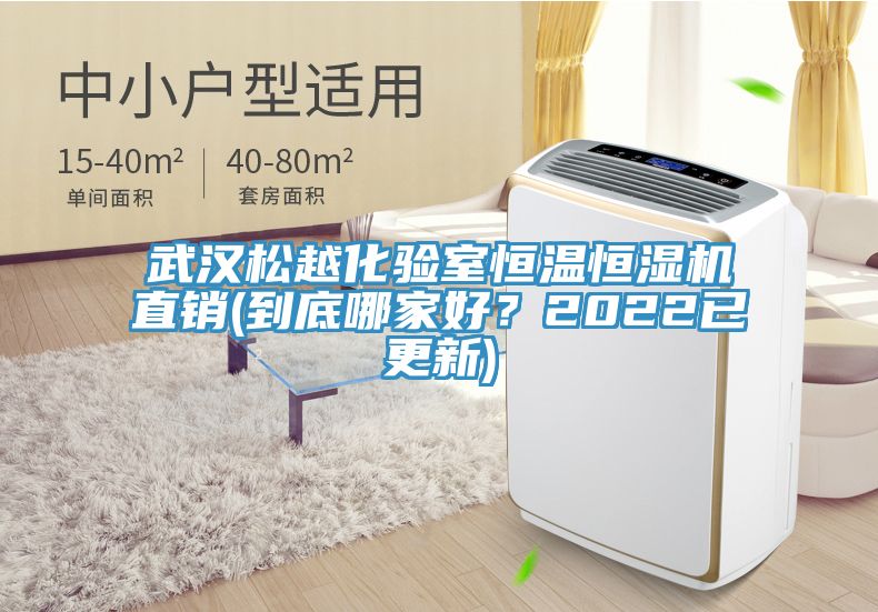 武漢松越化驗室恒溫恒濕機直銷(到底哪家好?2022已更新)
