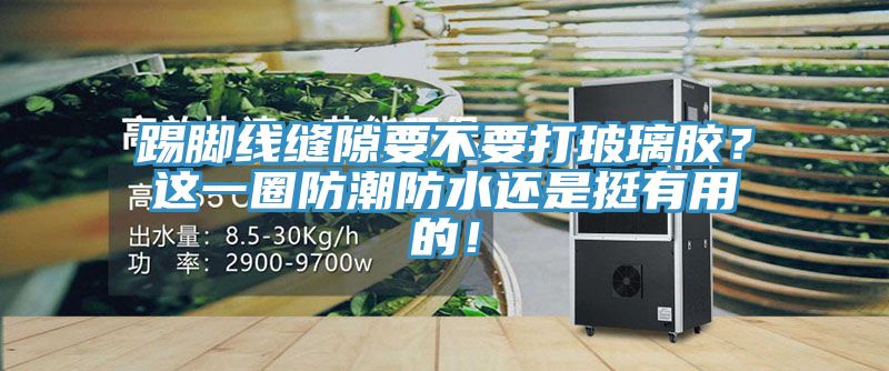 踢腳線縫隙要不要打玻璃膠?這一圈防潮防水還是挺有用的!