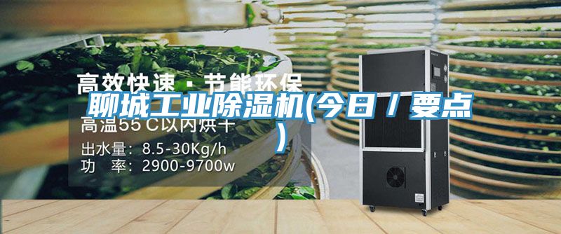 聊城工業除濕機(今日／要點)