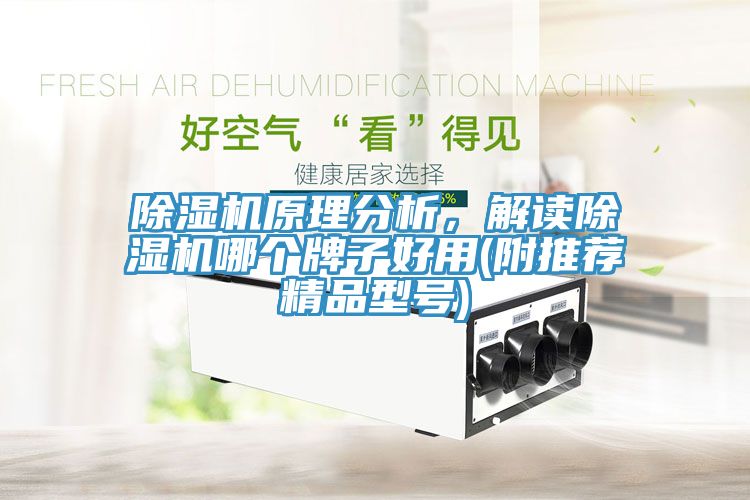 除濕機(jī)原理分析，解讀除濕機(jī)哪個(gè)牌子好用(附推薦精品型號(hào))