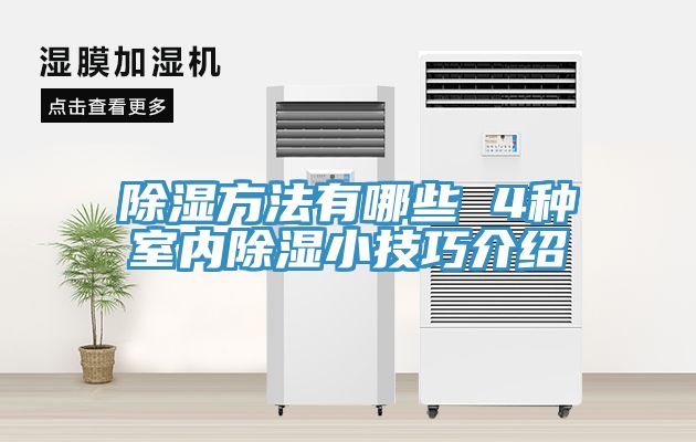 除濕方法有哪些 4種室內除濕小技巧介紹