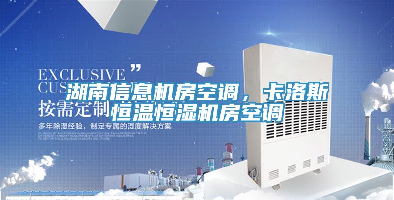 湖南信息機房空調(diào)，卡洛斯恒溫恒濕機房空調(diào)