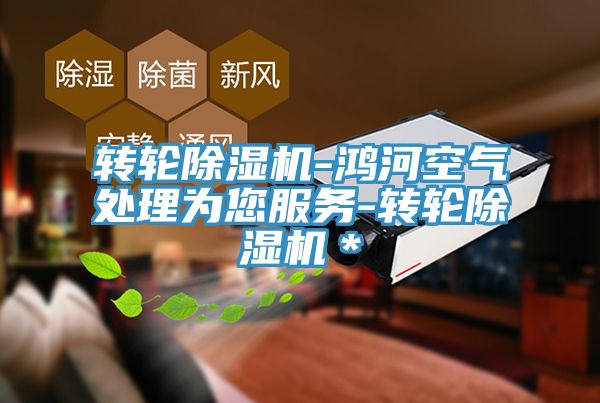 轉(zhuǎn)輪除濕機(jī)-鴻河空氣處理為您服務(wù)-轉(zhuǎn)輪除濕機(jī)*