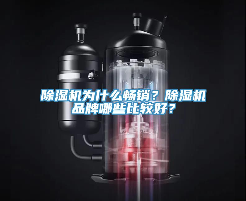 除濕機為什么暢銷？除濕機品牌哪些比較好？
