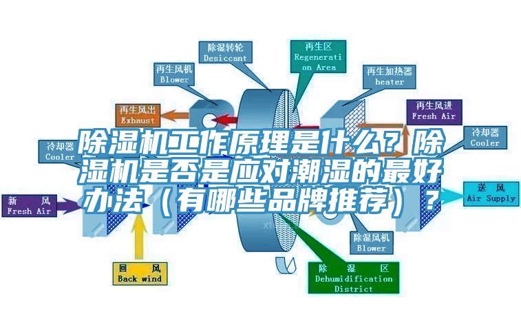除濕機(jī)工作原理是什么？除濕機(jī)是否是應(yīng)對潮濕的最好辦法（有哪些品牌推薦）？