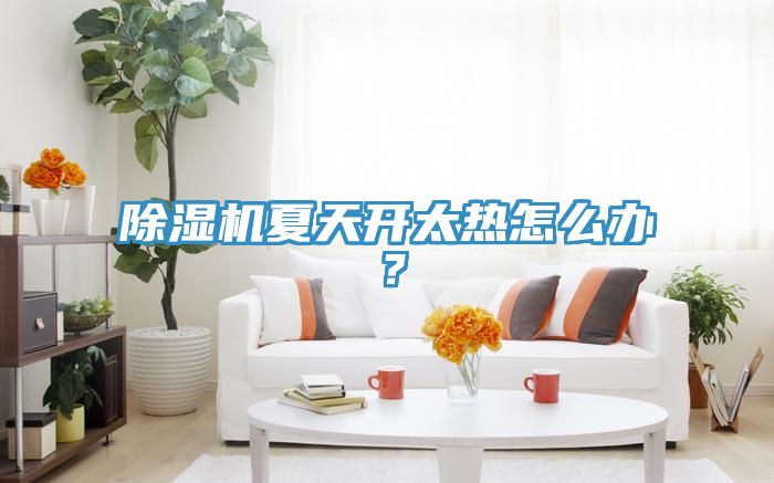除濕機(jī)夏天開太熱怎么辦?